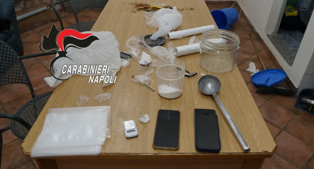 Narcos lattari