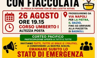comitato emergenza campi flegrea