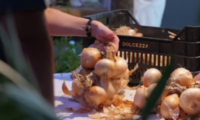 festa cipolla Vatolla 2026