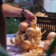 festa cipolla Vatolla 2026