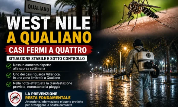 west nile qualiano casi fermi a 4
