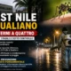 west nile qualiano casi fermi a 4