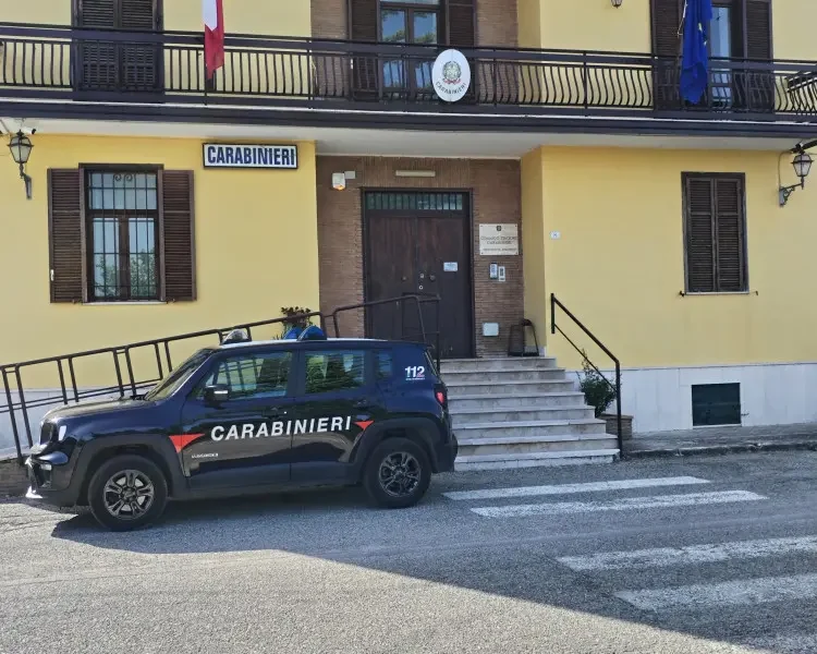 ospedaletto d8217alpinolo animali in condizioni incompatibili denunciata una 38enne da Puntomagazine.it ospedaletto d8217alpinolo animali in condizioni incompatibili denunciata una 38enne