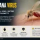 Toscana Virus
