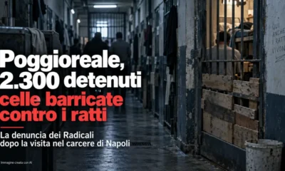 carcere poggioreale ratti
